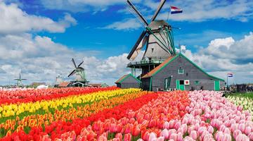 Holiday Home Netherlands